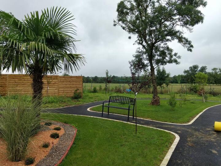 Studio Du Daudou Piscine Jacuzzi Partages Septfonds Exterior photo